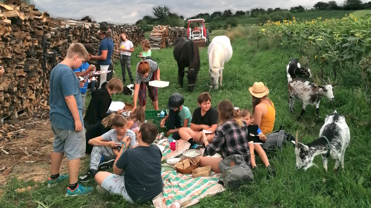 Aktivitäten in der Natur