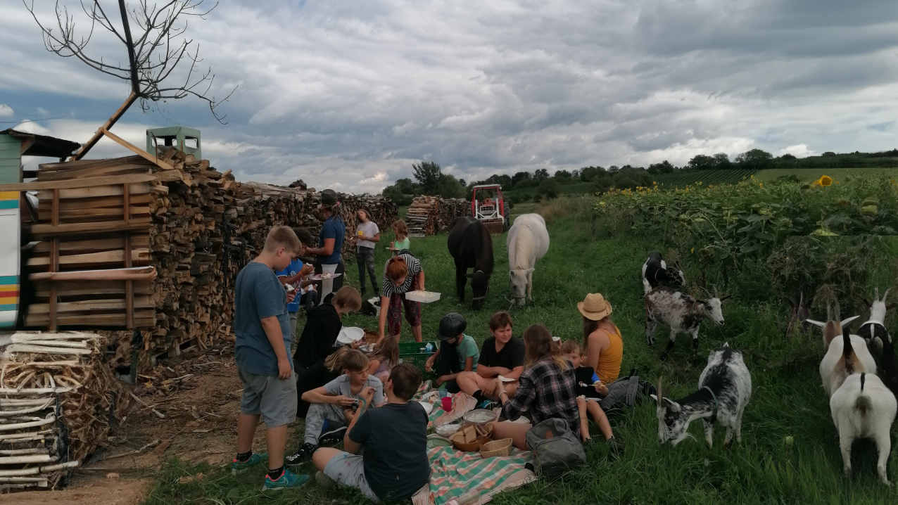 Tierisches & Tiergestützte Therapie