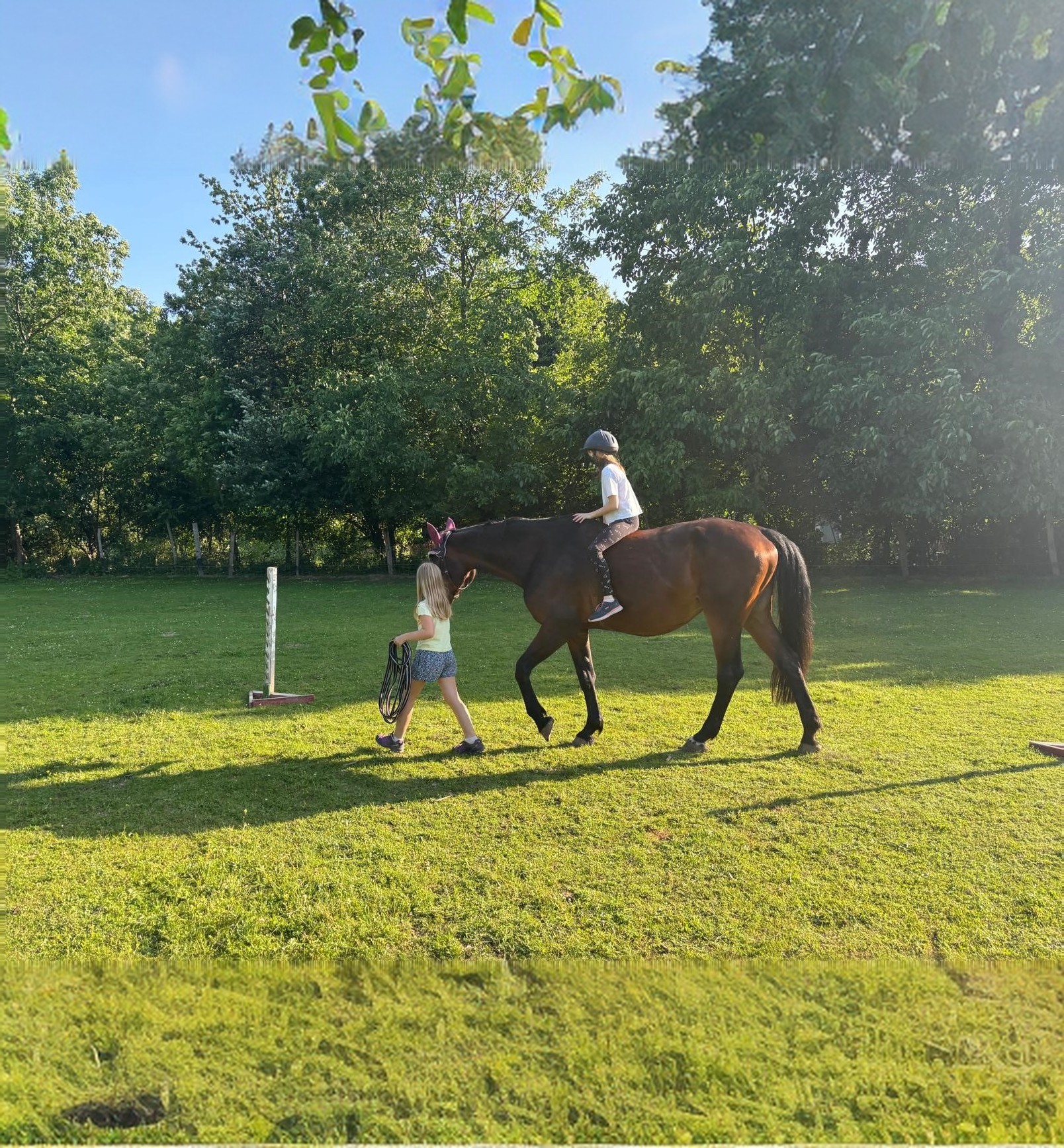 Lernen mit allen Sinnen