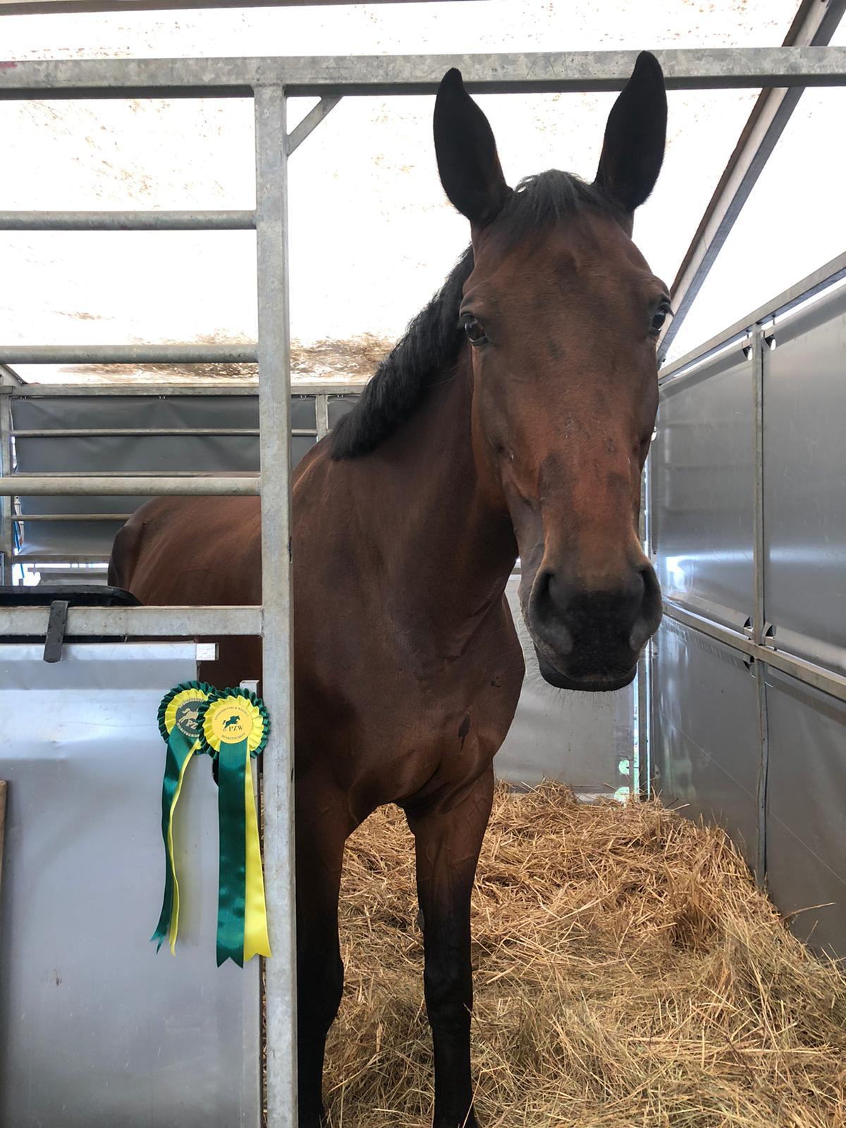 Caya – Unsere Ruhepolin