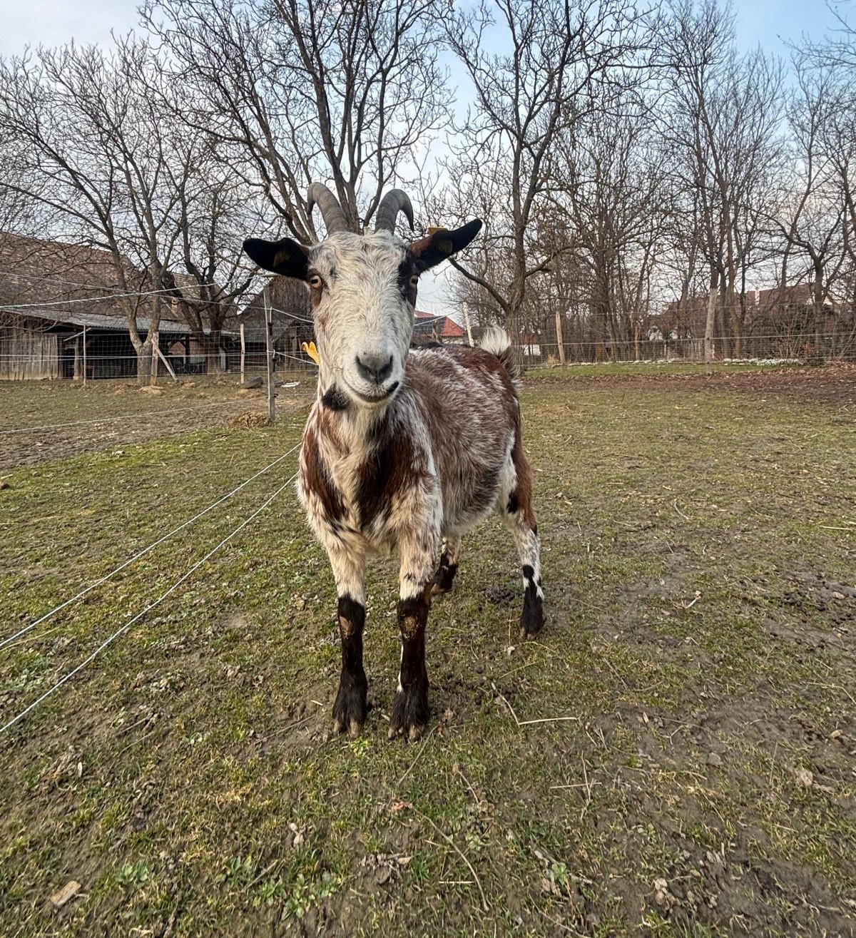 Lea – Die Vertrauensgeberin