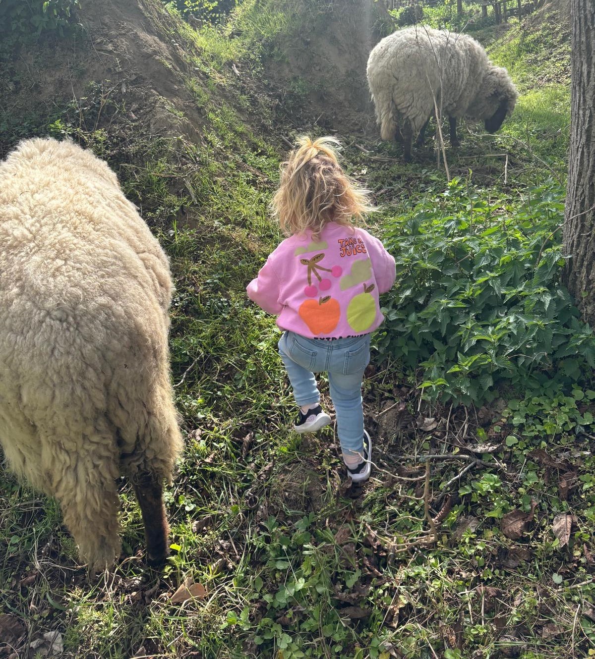 Natur gemeinsam Erleben
