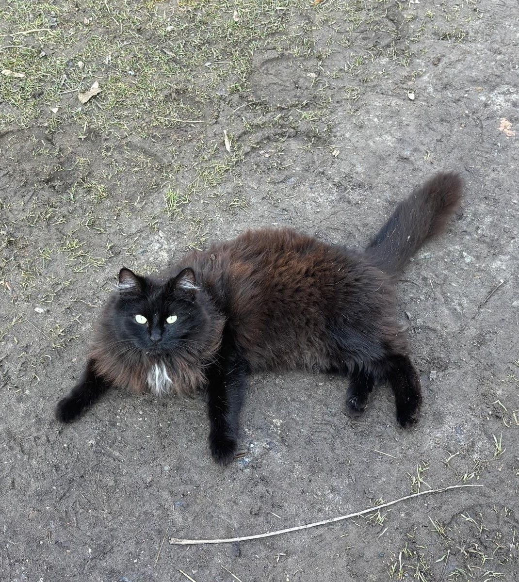 Luzi – Die Lebhafte