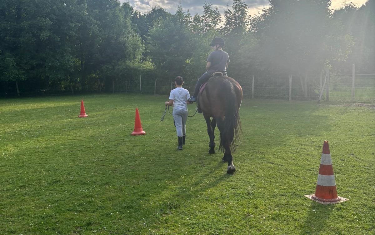 Reitpädagogik & Tiererlebnisse 