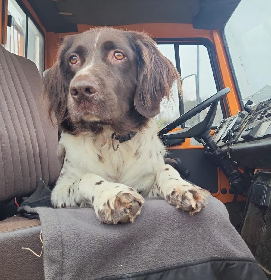 Shanti – Der Achtsame