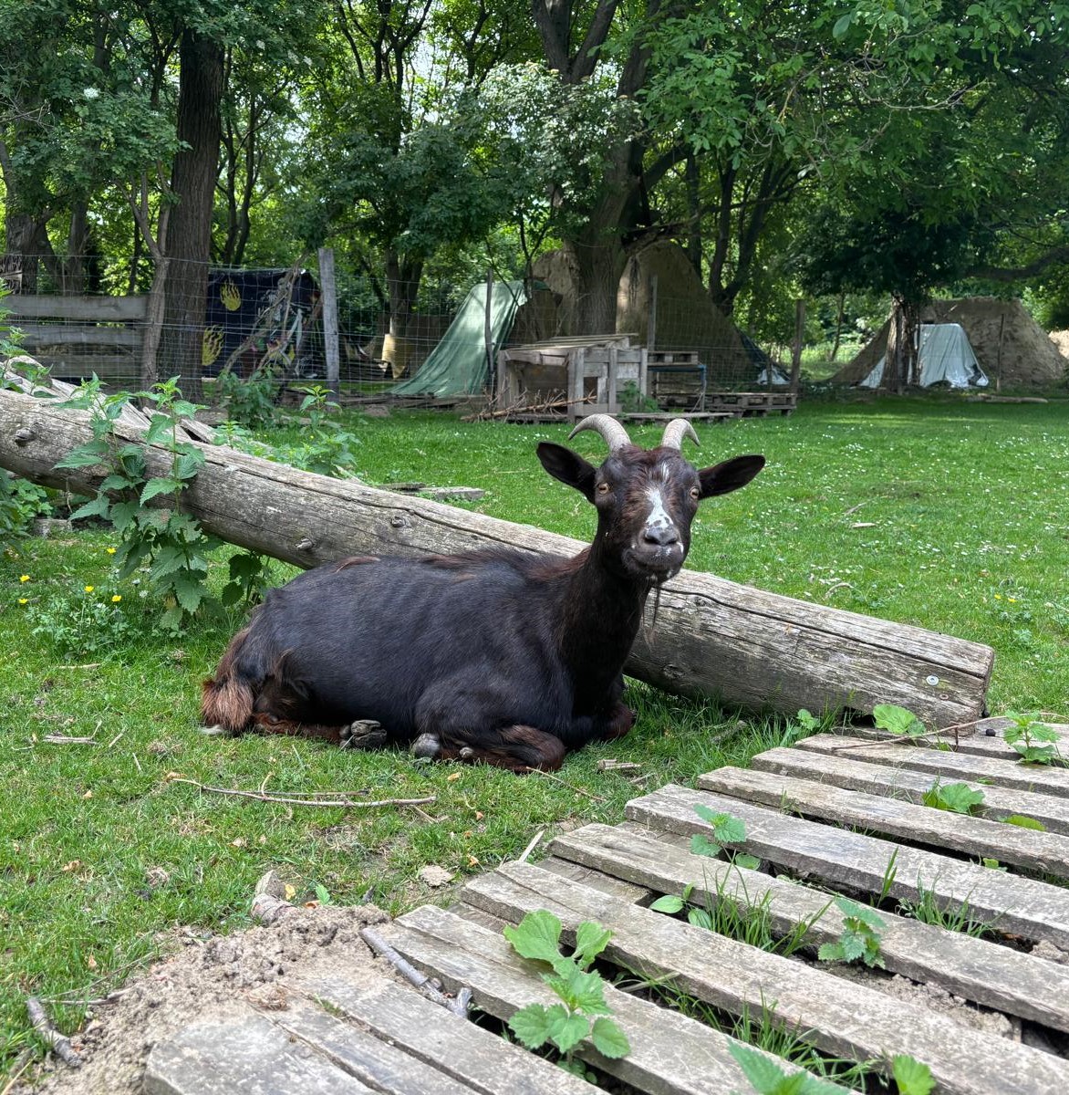Valentina – Die Herzensöffnerin
