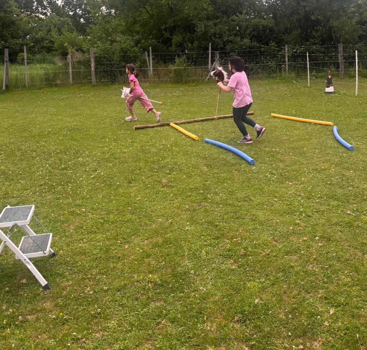 Kindergeburtstag am Hof